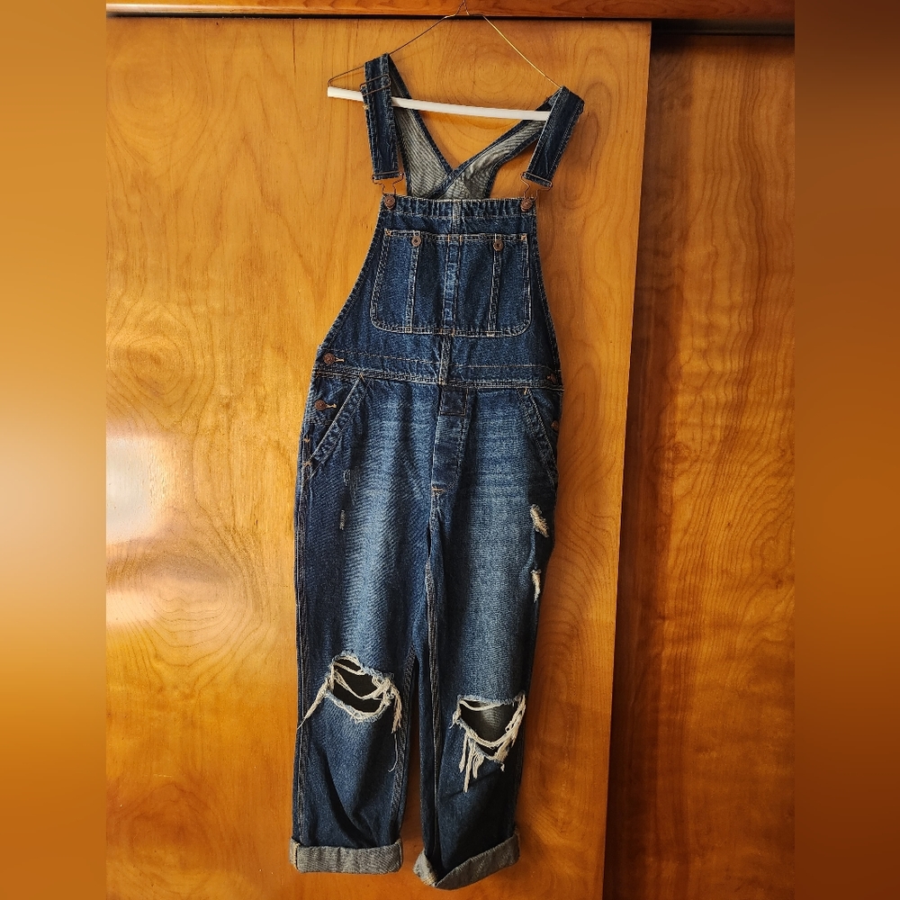 Free People/ We The Free Overalls